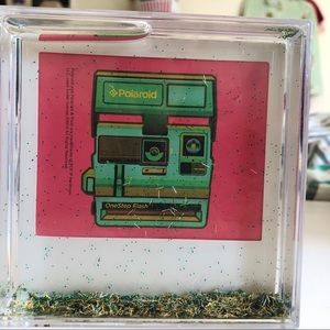 Polaroid snow globe pic